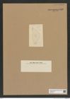 Diatomeae indet. Zeichnungen Sammlung Grunow Nr. 7566 (NHMW-BOT-W0376714)